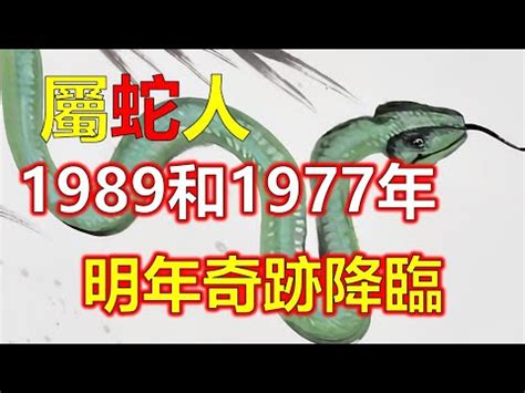 1989年 蛇 五行|1989属蛇的五行 1989年属蛇蛇是什么命